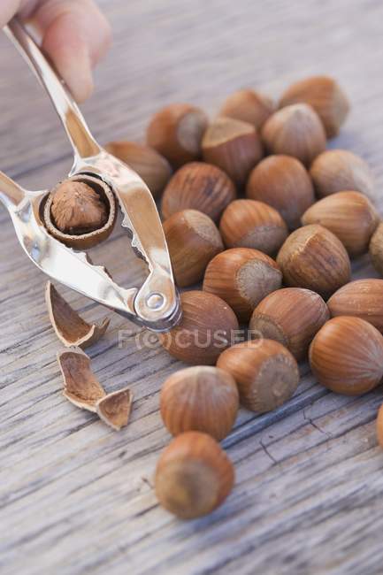 Hazelnuts with nutcracker in hand — Stock Photo