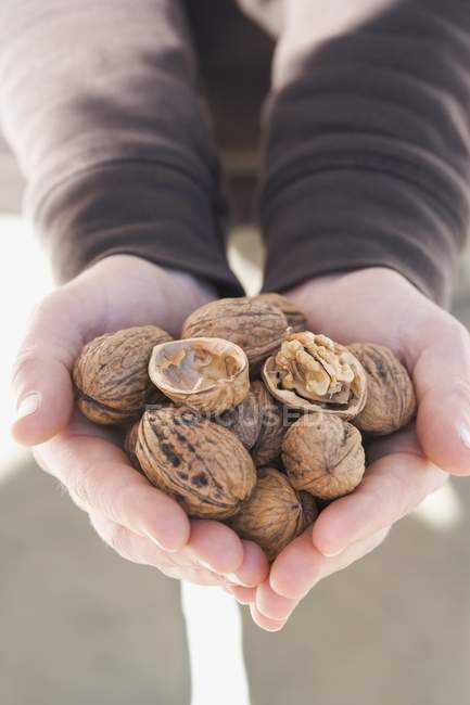 Hands holding Walnuts — Stock Photo