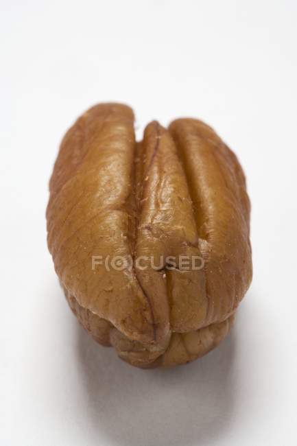 Сырой орех пекан — стоковое фото