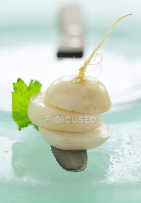 Sliced white radish — Stock Photo