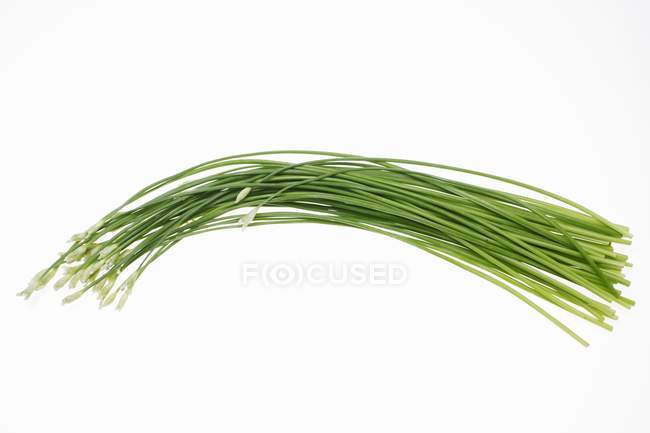 Erba cipollina verde — Foto stock