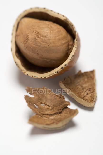 Nocciola crackizzata secca — Foto stock