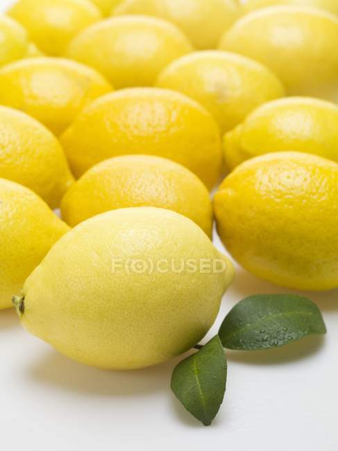 Fresh and ripe lemons — Stock Photo