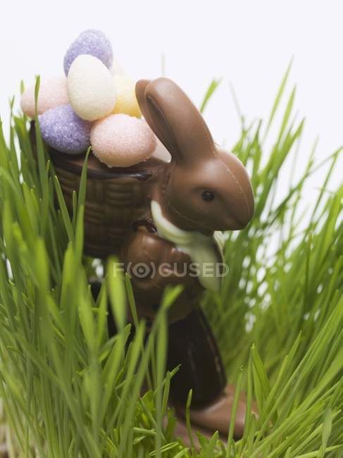 Schokoladen-Osterhase — Stockfoto