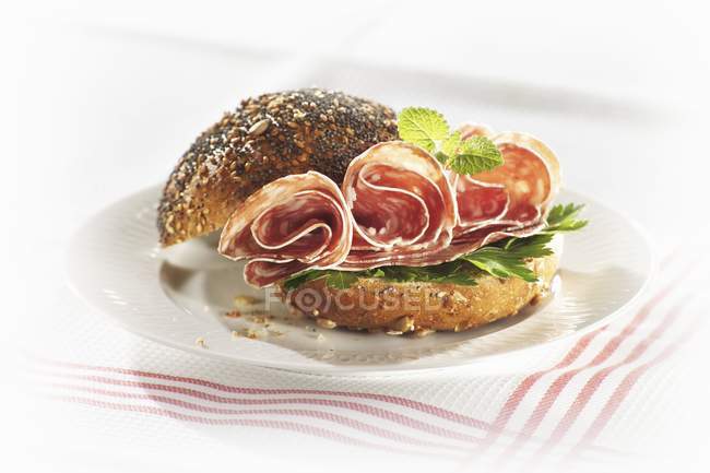 Vue rapprochée du salami en rouleau de graines de pavot — Photo de stock