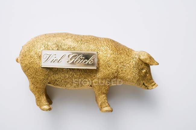 Primer plano vista superior de un cerdo dorado con palabras de Viel Gluck en la superficie blanca - foto de stock