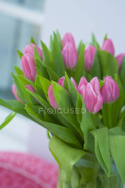 Vista de primer plano de jarrón de vidrio de tulipanes rosados y hojas verdes - foto de stock