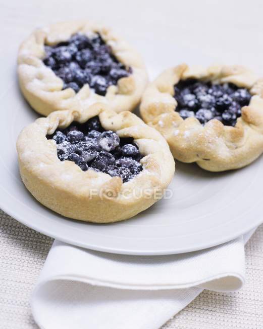 Homemade blueberry tarts — Stock Photo