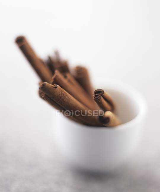 Cinnamon sticks in a pot — Stock Photo