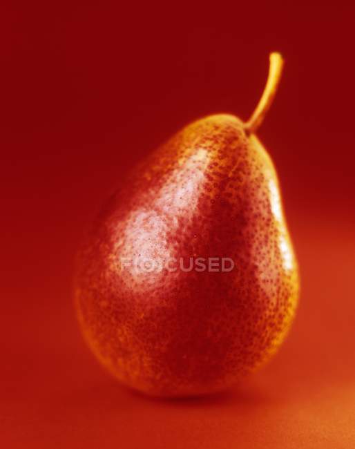 Fresh ripe pear — Stock Photo