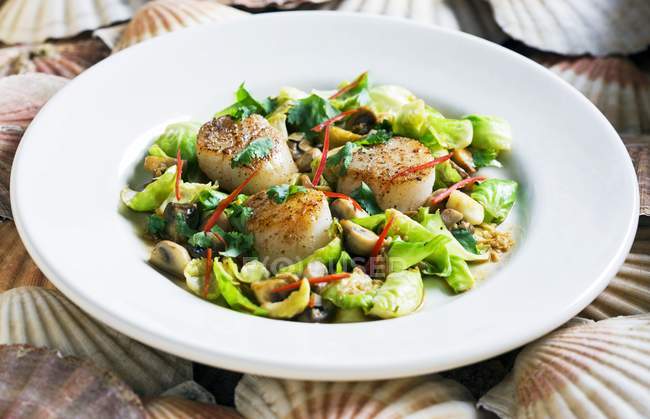 Scallop salad with brussels sprouts — Stock Photo