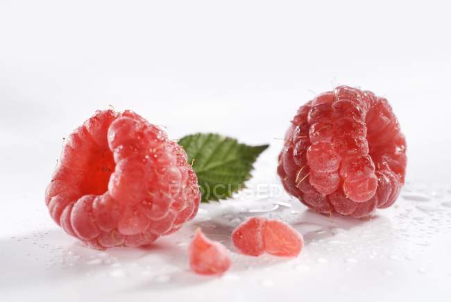 Two raspberries with leaf — Stock Photo