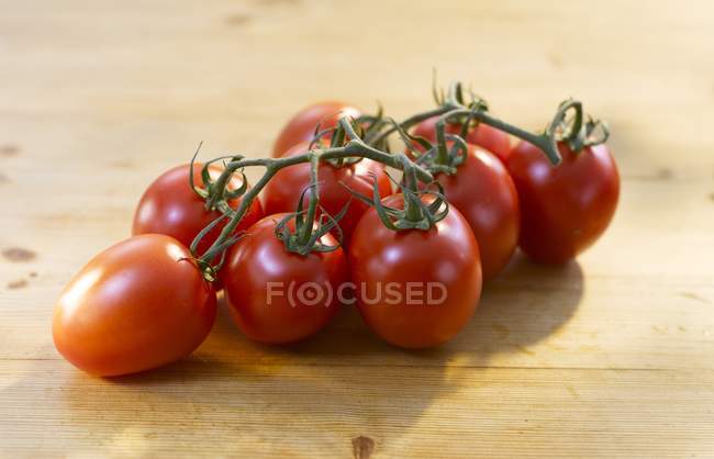 Vino Tomates maduros - foto de stock