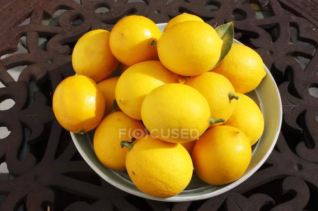 Чаша свежих лимонов Майер — стоковое фото