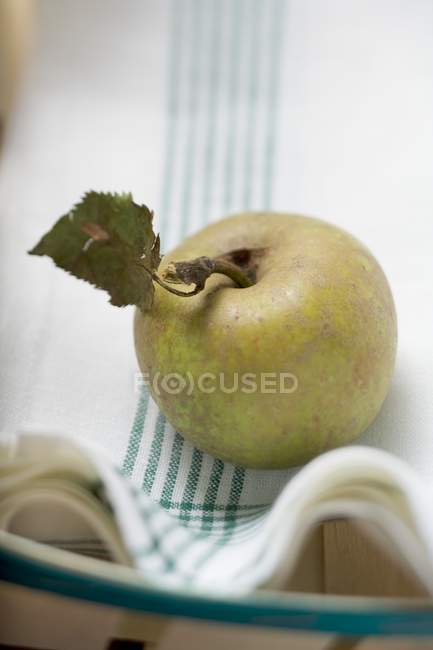 Green organic apple — Stock Photo