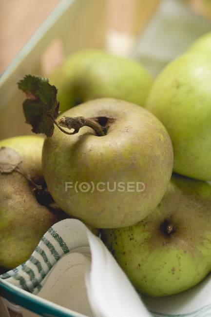Plusieurs pommes biologiques — Photo de stock