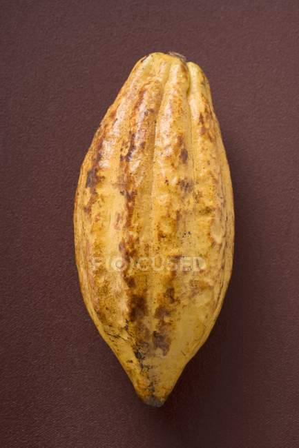 Сировина фруктів какао — стокове фото