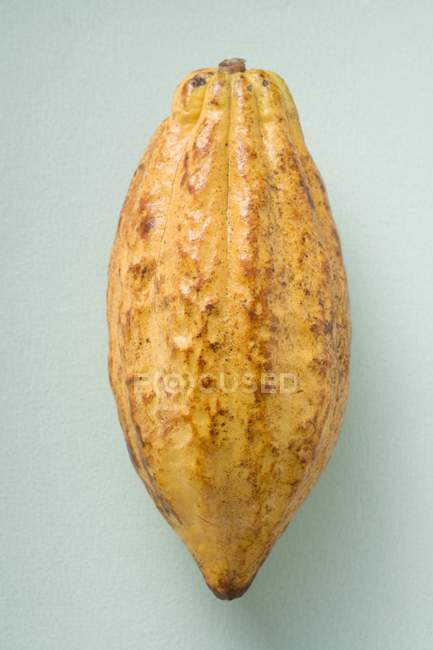 Сырые фрукты какао — стоковое фото