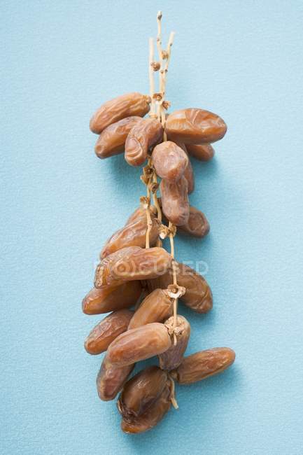 Dried Dates on stalk — Stock Photo