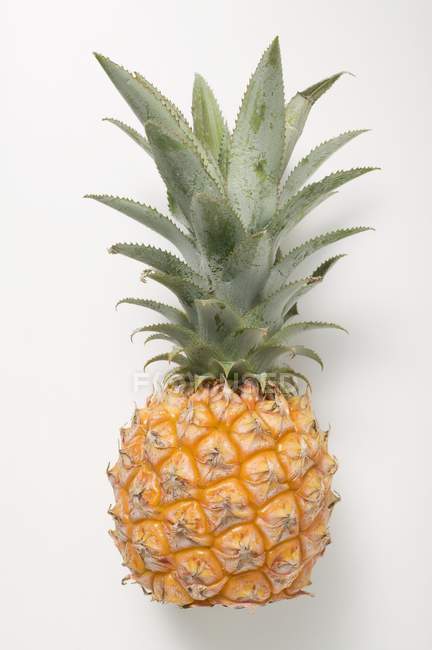 Спелый детский ананас — стоковое фото