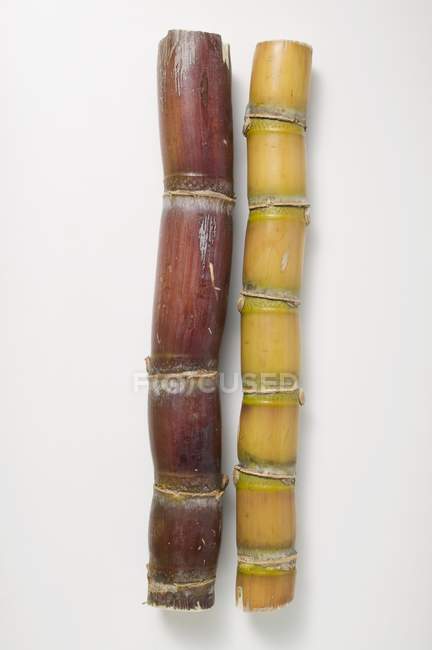 Gros plan vue de dessus de deux cannes à sucre sur la surface blanche — Photo de stock