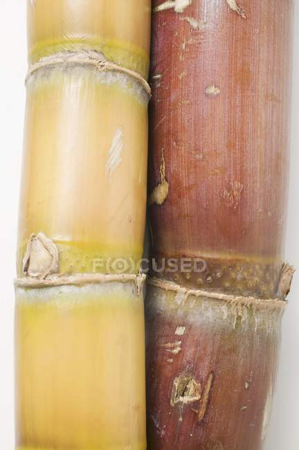 Close-up vista superior de duas canas de açúcar na superfície branca — Fotografia de Stock