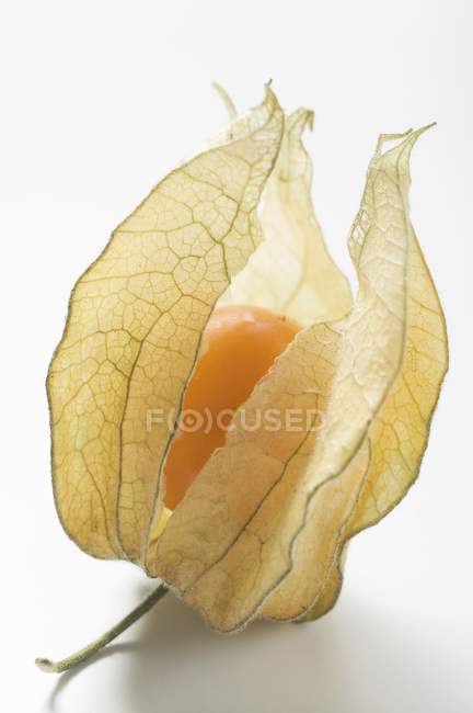 Physalis Fruits à écorce — Photo de stock