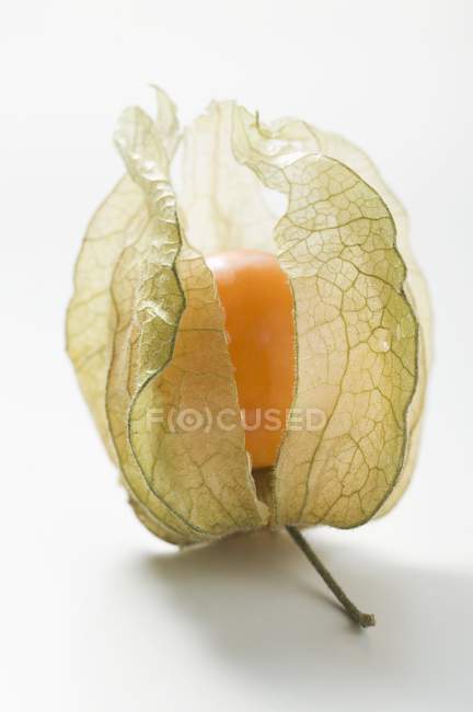 Fruta Physalis com Casca — Fotografia de Stock