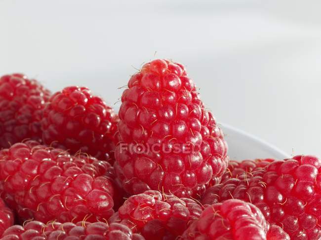 Several ripe raspberries — Stock Photo