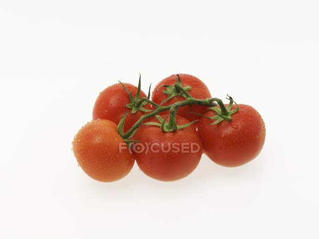 Washed vine tomatoes — Stock Photo