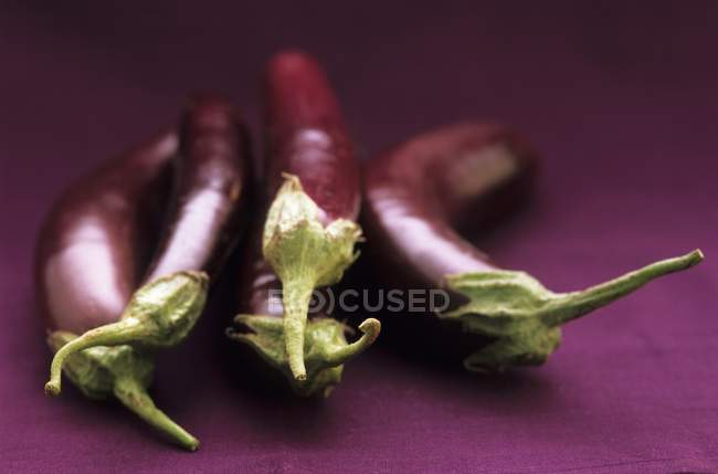 Berenjenas frescas maduras - foto de stock