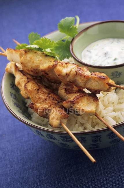 Kebab di pollo con riso — Foto stock