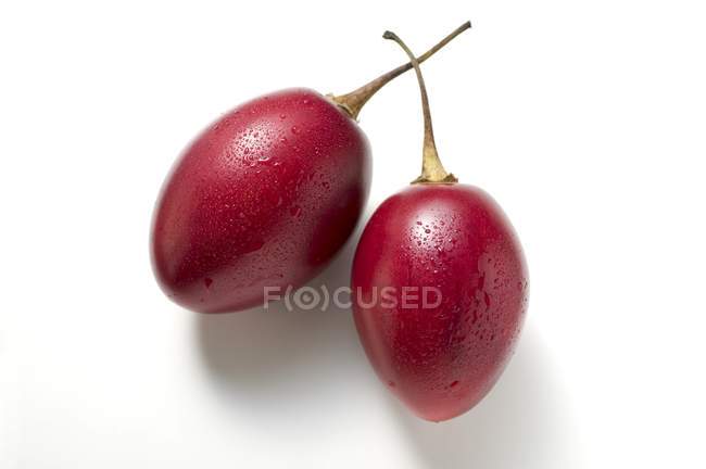 Tamarillos with drops of water — Stock Photo