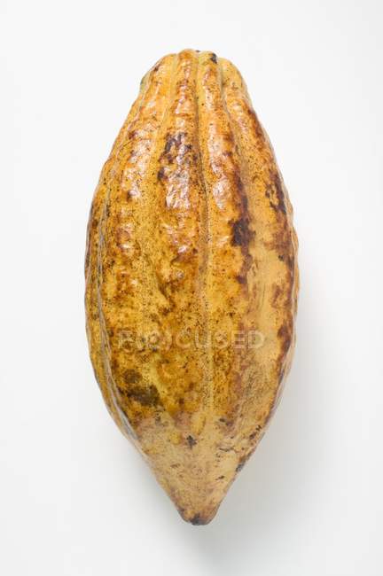 Raw Cacao fruit — Stock Photo