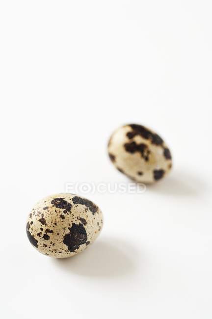 Oeufs de cailles sur blanc — Photo de stock