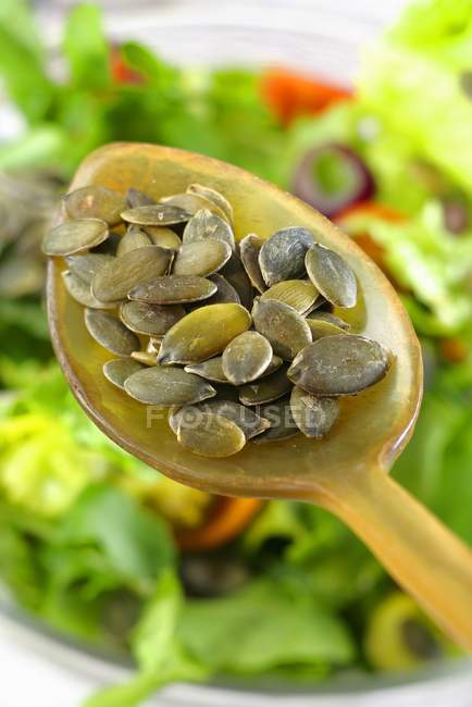 Semi di zucca su cucchiaio — Foto stock