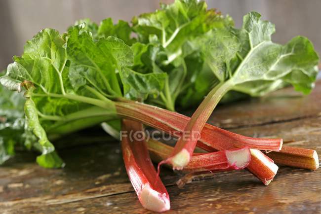 Tiges de rhubarbe fraîches avec feuilles — Photo de stock