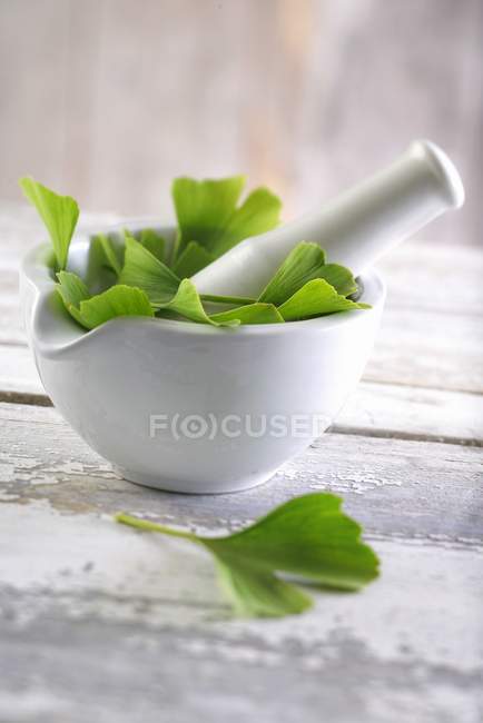 Gingko leaves in a mortar — Stock Photo