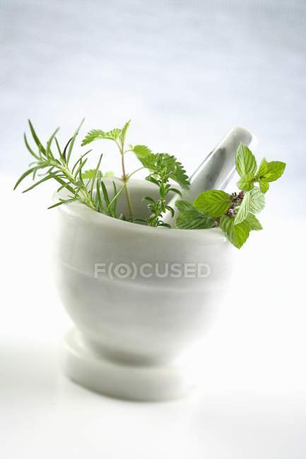 Fresh herbs in mortar — Stock Photo