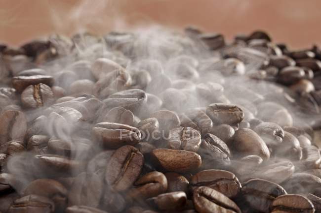 Coffee beans with steam — Stock Photo