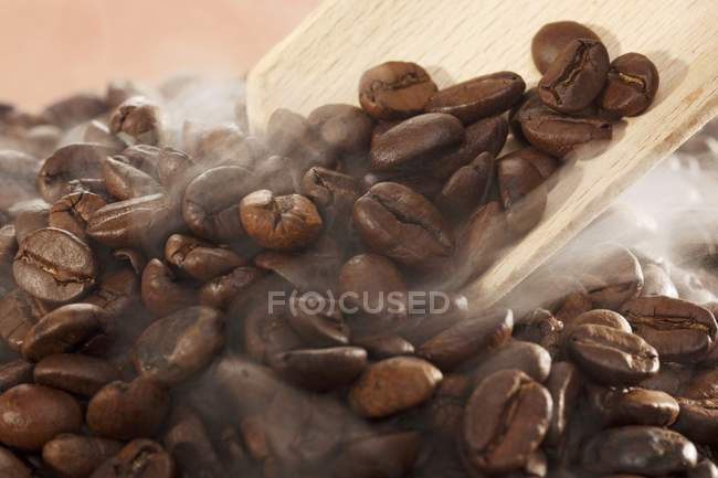 Chicchi di caffè al vapore con misurino — Foto stock