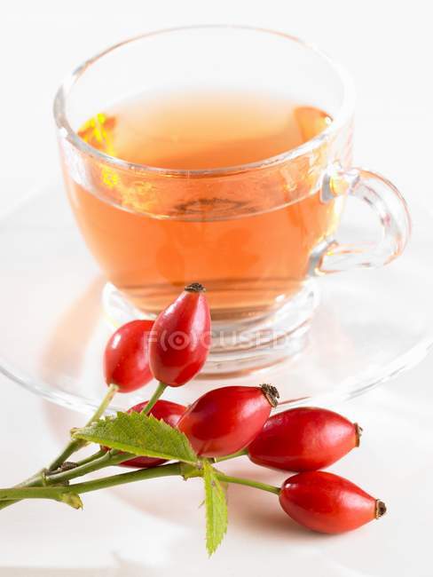 Chá de rosa mosqueta em uma xícara — Fotografia de Stock