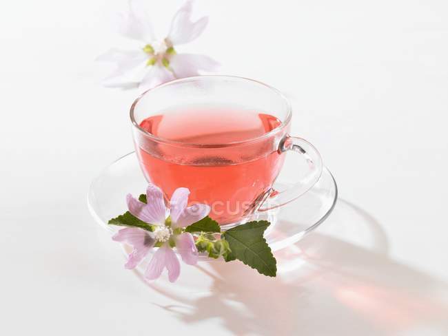 Hollyhock tea in cup — Stock Photo