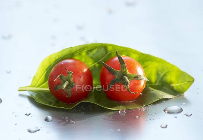 Dos tomates cherry - foto de stock