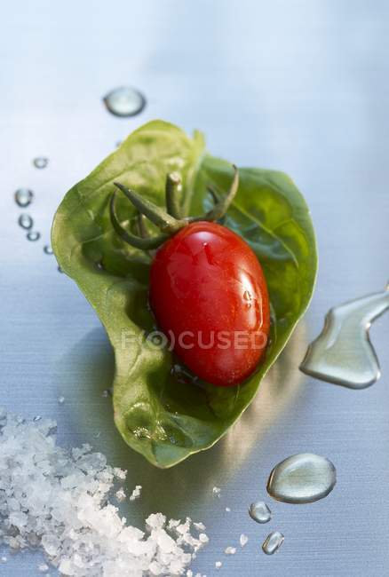 Tomate de raisin sur feuille de basilic — Photo de stock
