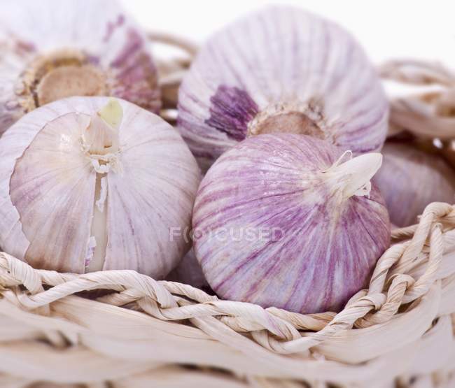 Sprouting garlic bulbs — Stock Photo