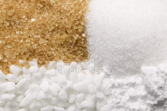 Closeup top view of four different types of sugar — Stock Photo