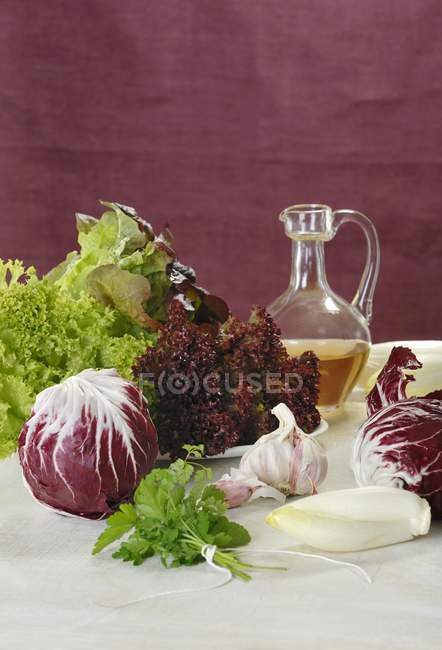 Chicory and lettuce with garlic — Stock Photo