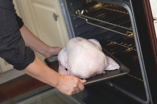 Human hands Putting turkey into oven — Stock Photo