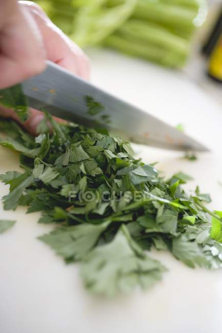 Chopping fresh parsley — Stock Photo